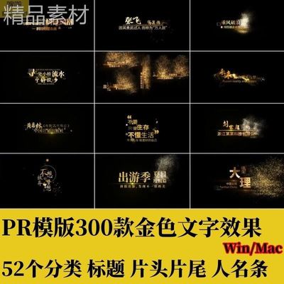 PR模板300款金色粒子渐变消散动态字幕文字标题片头片尾人名素材
