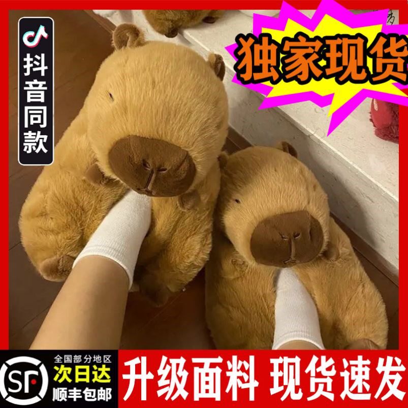 卡皮巴拉拖鞋水豚泰迪熊棉拖鞋冬保暖泰迪棉鞋居家鞋女冬天毛毛鞋
