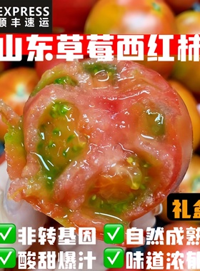 顺丰包邮自然成熟草莓西红柿孕妇宝宝酸甜自家种生吃现摘铁皮柿子