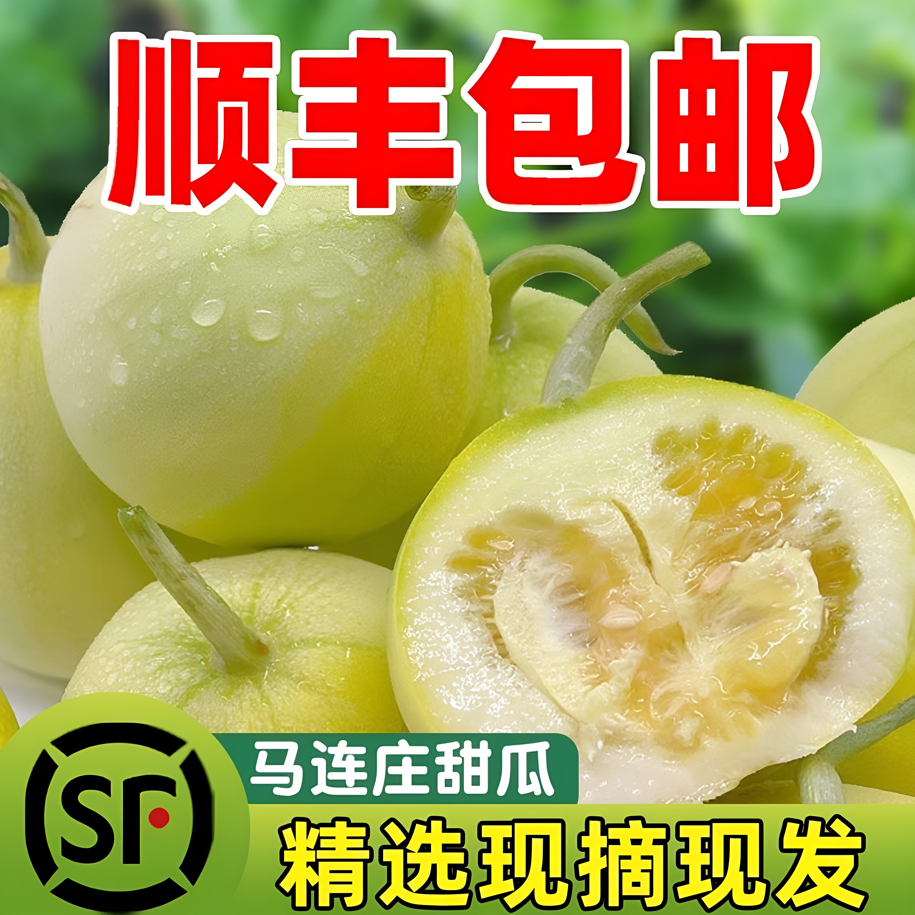 顺丰包邮马连庄甜瓜山东青岛特产甜宝当季现摘孕妇宝宝香瓜