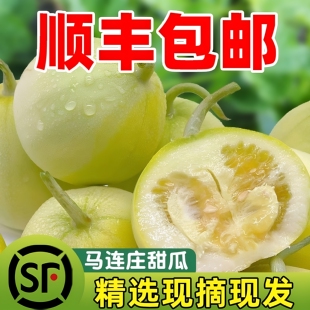 顺丰包邮马连庄甜瓜山东青岛特产甜宝当季现摘孕妇宝宝香瓜