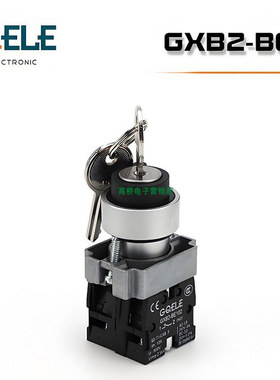 GQELE高桥电子GXB2-EG41金属带钥匙旋钮2档3档自锁自复转换开关22