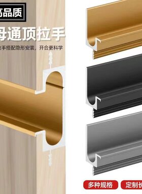 佳业柜门衣柜子母拉手