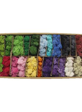 永生配花苔藓云南5鹿角藓材青13574苔水苔0真0克/盒仿花材保鲜花