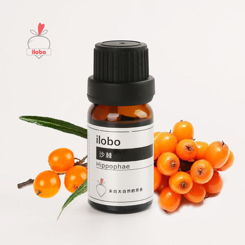 沙棘香薰精油加湿器ilobo