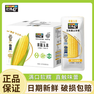 北纬47度黄糯鲜糯玉米东北糯玉米开袋即食水果玉米轻食早餐代餐
