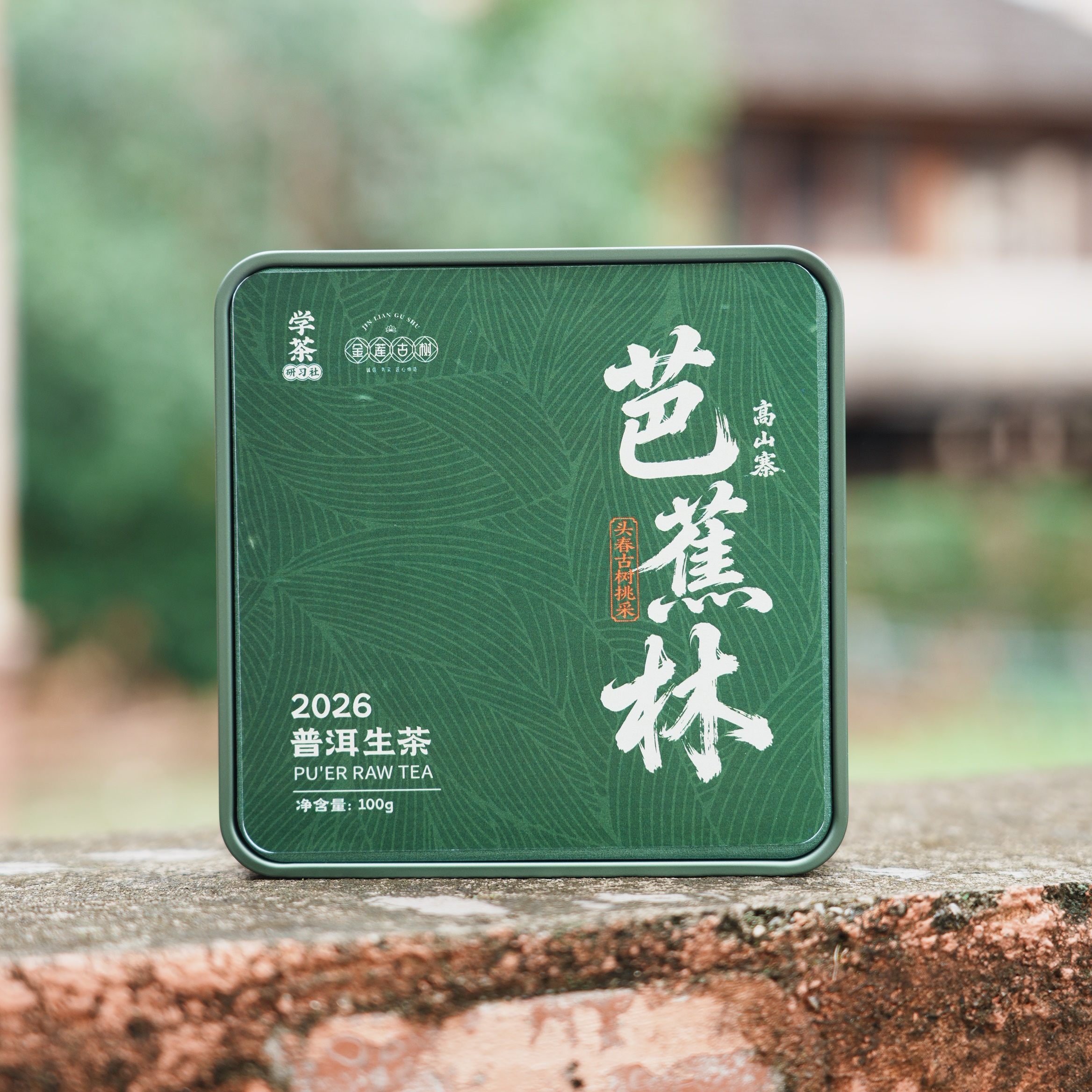 [学茶严选]2026年高山寨芭蕉林 头春古树