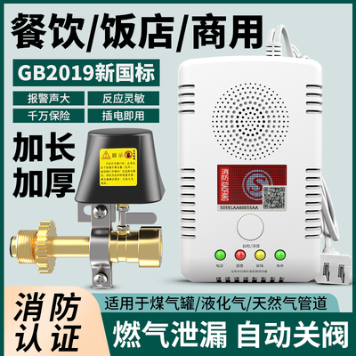 燃气报警器家用可燃气体切动阀