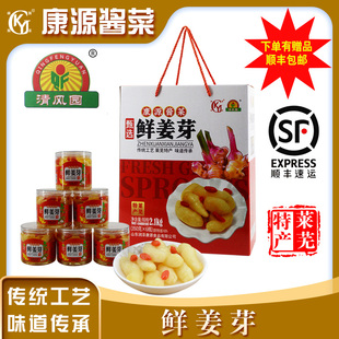 莱芜特产 康源酱菜 莱芜鲜姜芽礼盒装 姜芽子出口品质 口镇咸菜