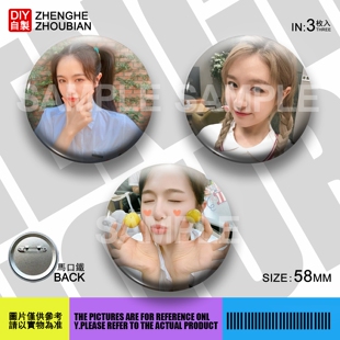 李兰迪周边应援吧唧胸章胸针马口铁徽章谷子生日礼物来图定制