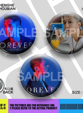 Stevie Hoang 史蒂文黄周边应援吧唧胸章胸针马口铁徽章谷子生日
