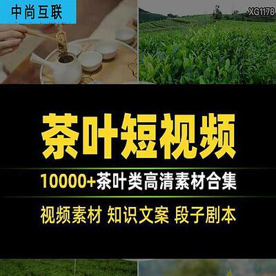 2024茶叶短视频素材图片文案脚本抖音带货茶业茶园采茶泡茶高清