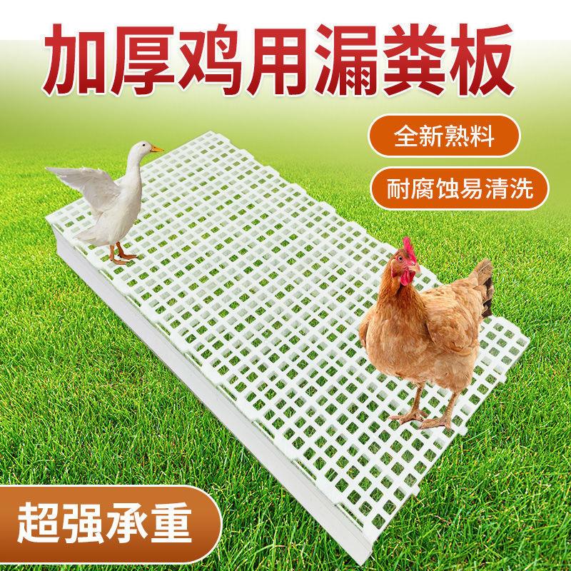 鸡粪漏粪板鸭鹅漏粪网鸡舍漏屎地板养鸡用塑料家禽小鸡鸽子漏粪板