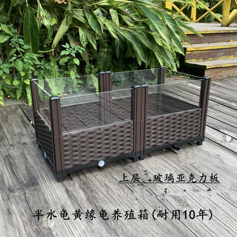 乌龟饲养箱 爬宠黄缘龟养殖专用箱  安缘幼龟 4面透明玻璃板