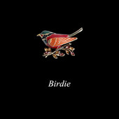 胸花别针扣针配饰装 「礼节」创意复古小鸟胸针男女开衫 外套西装 饰