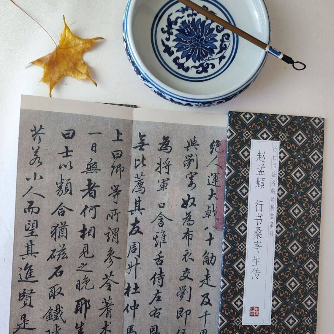 赵孟頫行书 桑寄生传 历代书法书法/篆刻/字帖书籍