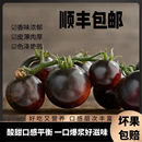 黑珍珠车厘子小番茄新鲜现摘巧克力生吃黑色小番茄山东特产紫番茄