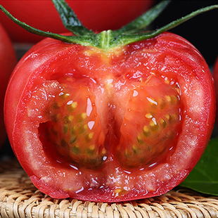 口感番茄脆皮草莓牧心西红柿酸甜可口小时候的味道新鲜现摘顺丰