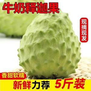 释迦果新鲜水果5斤应当季水果牛奶凤梨番荔枝牟尼果摩尼果佛头果3