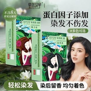 章华汉草染发霜剂3B柔和型染发膏剂精华染发套装自然黑棕黑盖白