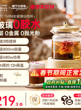 康宁二代搅拌迷你养生壶mini小型办公室一人全纯玻璃电炖杯养生杯