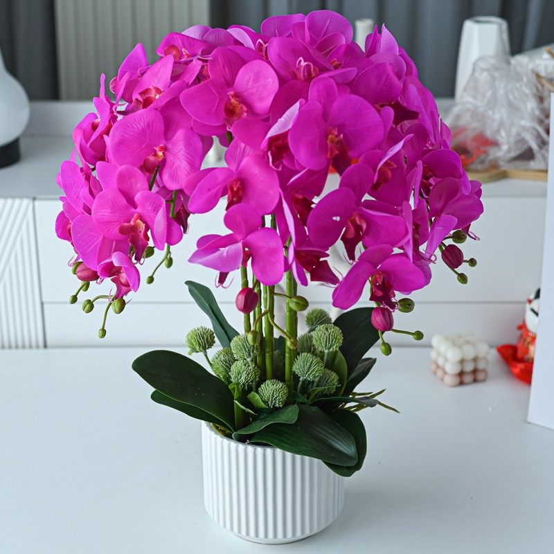 润野手感仿真蝴蝶兰套装绿植盆栽花艺室内客厅干花摆设装饰假花卉,鲜花速递/花卉仿真/绿植园艺,仿真花,淘宝优惠券,粉丝福利购,淘宝优惠卷