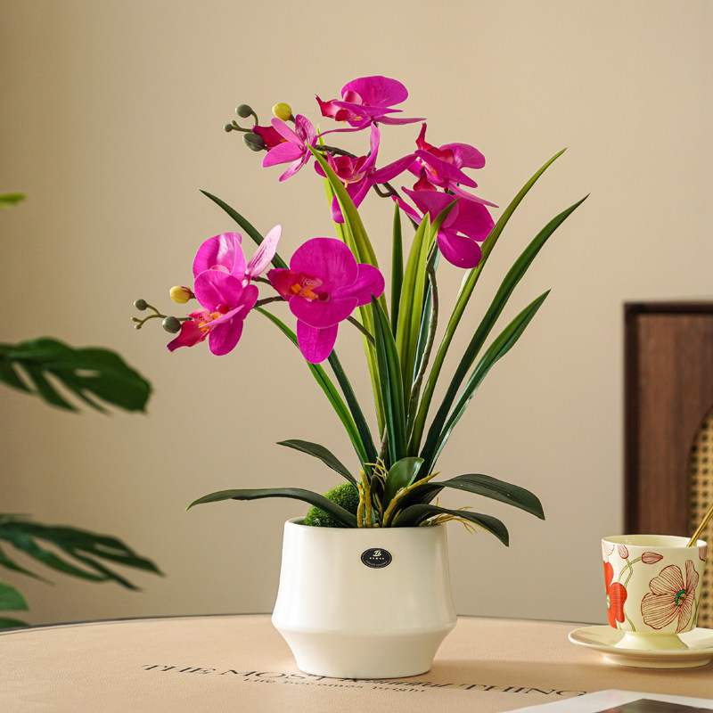 高仿真蝴蝶兰花艺含花和瓶整体套装卧室假花装饰茶几餐桌假花插花