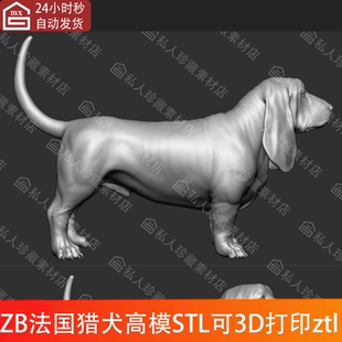 ZBrush动物狗法国巴赛特猎犬高模3D模型图纸stl可打印素材圆雕ZTL