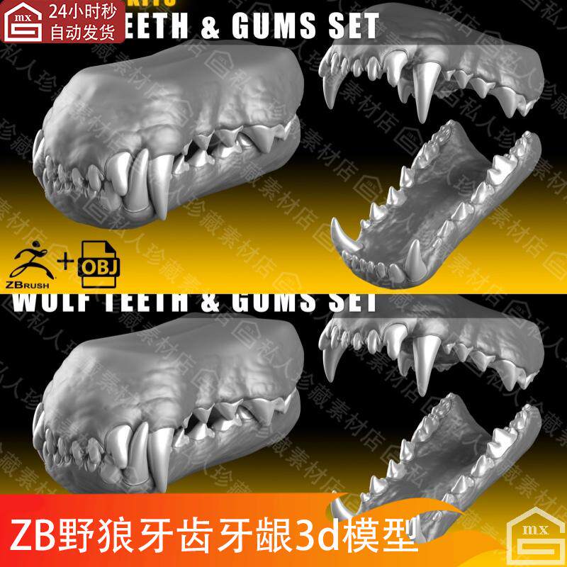 zbrush动物狼牙牙齿牙龈雕刻3d模型ztl细分獠牙大牙尖牙高模obj