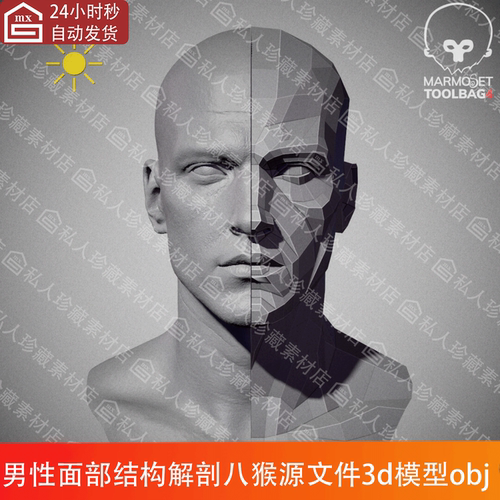 zbrush雕刻男性头部面部结构解剖学3d模型obj八猴4渲染源文件