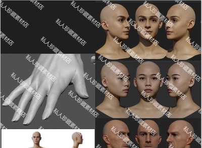 亚洲欧美扫描男女性头像手臂脚部obj角色模型zb模型雕刻皮肤贴图
