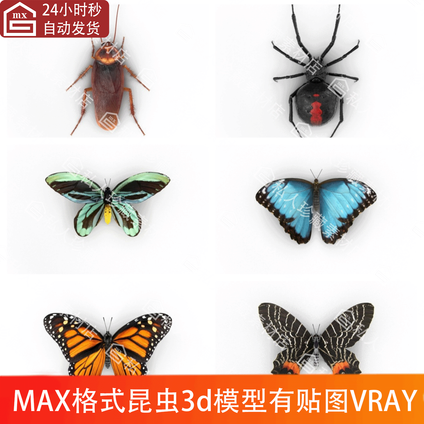 3dmax写实影视蝴蝶昆虫蜘蛛蟑螂瓢虫青蛙动物3D模型带贴图max格式