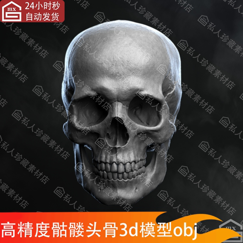 zbrush雕刻高精度人类颅头骨骷髅头头部骨架解剖结构3d模型obj
