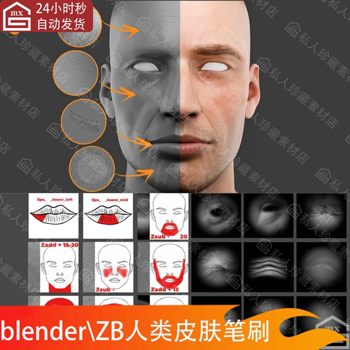blender人类皮肤纹理胸部眼部嘴唇手部腿部脸部皱纹ZB雕刻笔刷