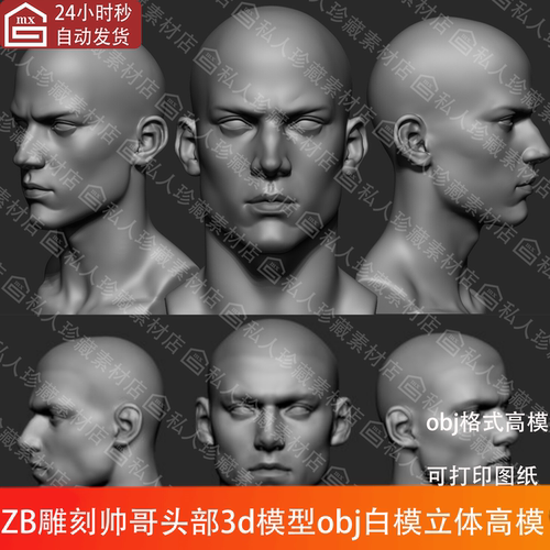 zbrush男性帅哥光头头部雕刻3D模型obj欧洲人头像zb模型立体素材