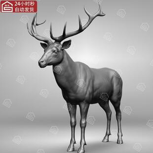 zbrush动物麋鹿驼鹿3d模型stl素材可打印高精度雕刻高模三维模型