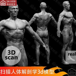ZBrush写实男性扫描人体姿势肌肉解剖学雕刻建模参考高模3D模型