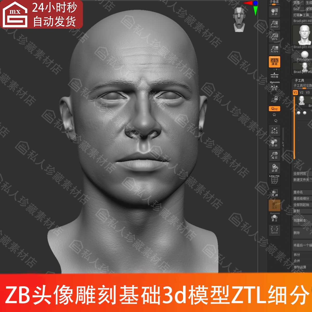zbrush欧美男性头部肖像头像雕刻3d基础模型ZTL细分人头高模白模