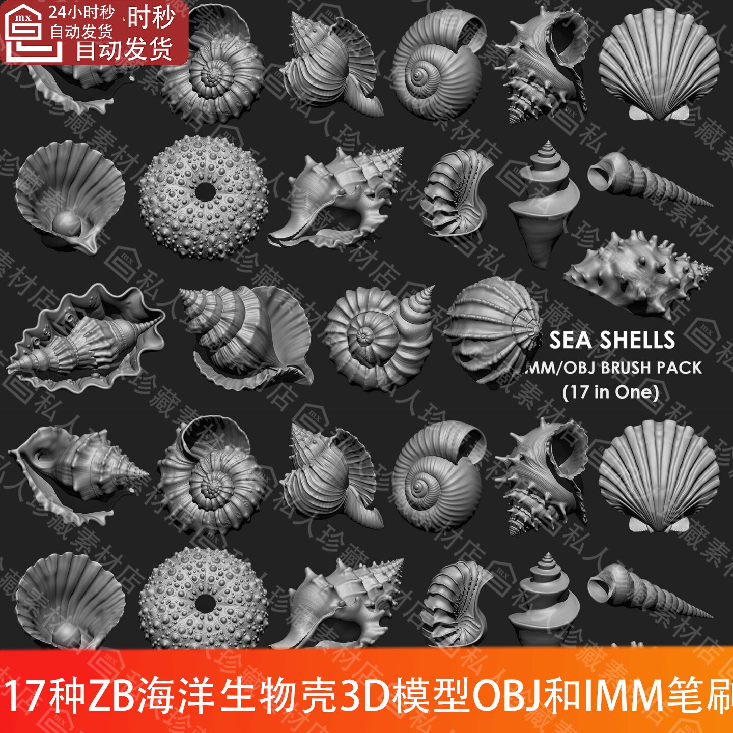 ZBrush海洋生物贝壳海螺海胆壳蛤壳扇贝高模3d模型OBJ和imm笔刷