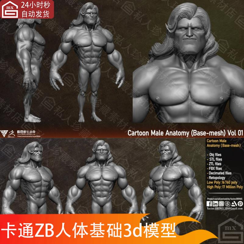 zbrush卡通男性人体基础3d模型ztl风格化人物角色解剖学裸体高模