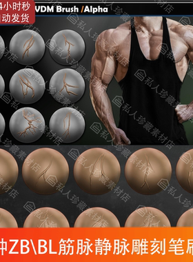 zbrush人类筋脉静脉脉络vdm笔刷和blender动脉细节ZB雕刻笔刷素材