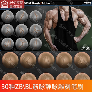 zbrush人类筋脉静脉脉络vdm笔刷和blender动脉细节ZB雕刻笔刷素材