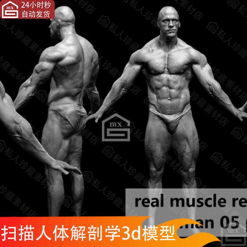zbrush扫描人体肌肉强壮男性解剖学雕刻雕塑人物角色参考3d模型