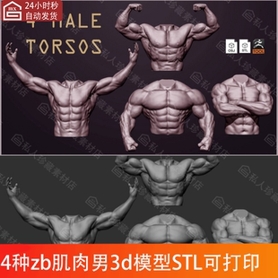 zbrush健美肌肉男性半身躯干3D模型stl人物壮汉姿势高模模型OBJ