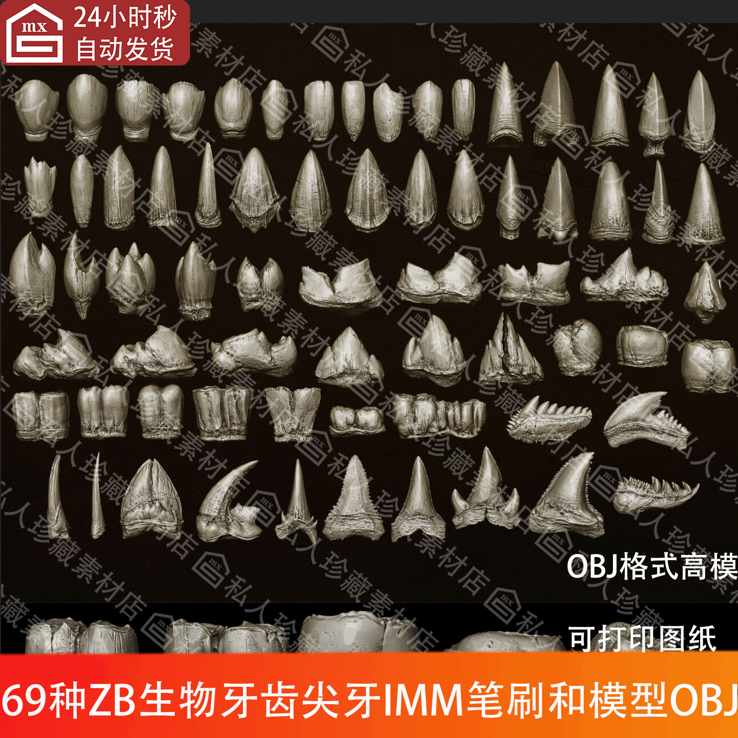 ZBrush生物怪物牙齿3D模型obj和牙齿尖牙磨牙低高模IMM笔刷zb笔刷