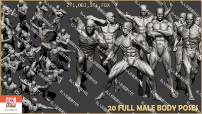 20款zbrush男性肌肉躯干身体肌肉全身运动姿势雕刻人体角色3D模型