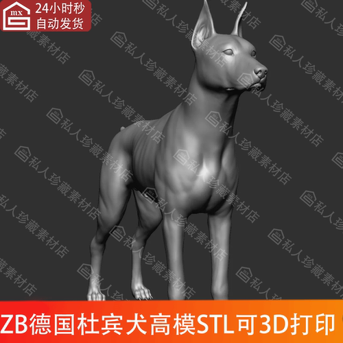 ZBrush动物狗德国杜宾犬短尾猎犬高模3d模型ZTL细分图纸stl可打印