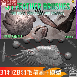 ZBrush鸟类羽毛皮毛长羽翼IMM笔刷 生物恐龙鹰翅膀雕刻zb笔刷