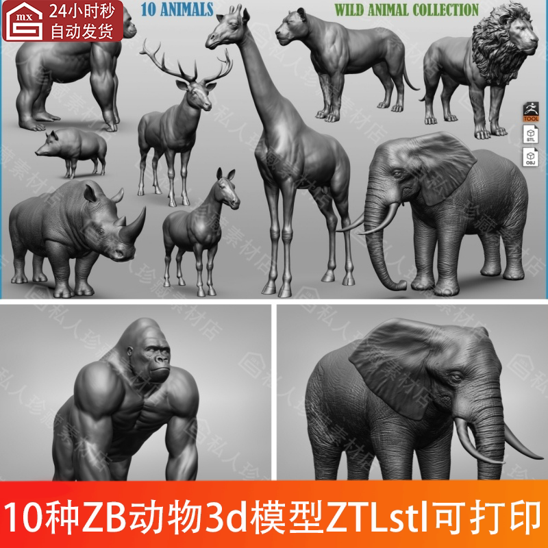 zbrush动物大象狮子长劲驯鹿图纸犀牛猩猩野牛斑马生猪3d模型ztl