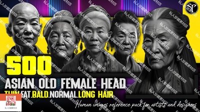 500张亚洲老女性老人头像脸部五官发型zbrush头部雕刻建模参考图